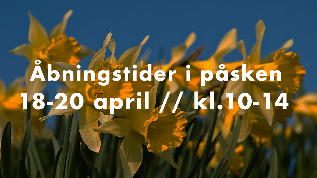 Genbyg Bloggen Inspiration Info Og Tips Tricks Genbyg Bloggen 